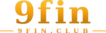 9fin logo